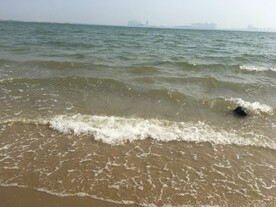 大海