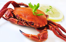 螃蟹美食
