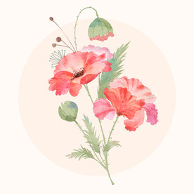 水彩花卉