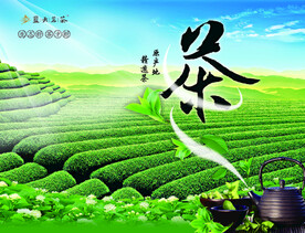 茶