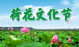 荷花文化节
