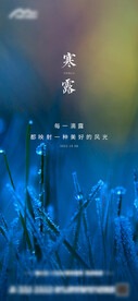 节气地产寒露