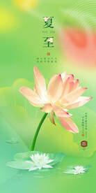 夏至