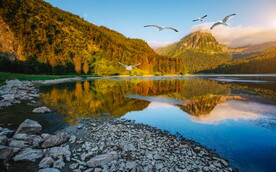 风景背景