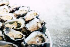 生蚝