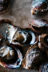 生蚝