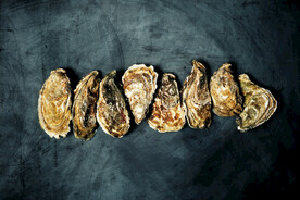 生蚝