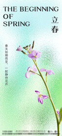 节日节气立春海报