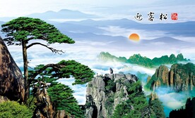 迎客松