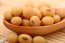黄豆