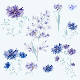 手绘花卉