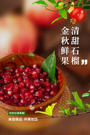 石榴水果海报