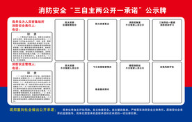 三自主两公开一承诺