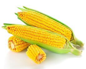 玉米