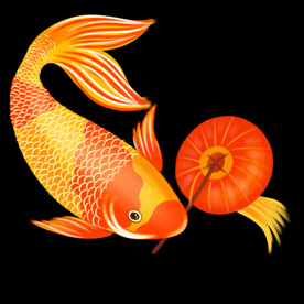 锦鲤