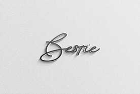LOGO样机