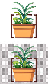 盆栽花盘小草小花