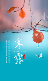 枫叶