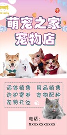 宠物店海报
