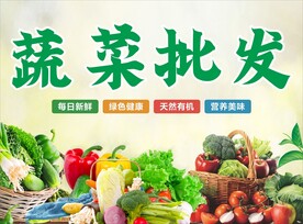 绿色蔬菜