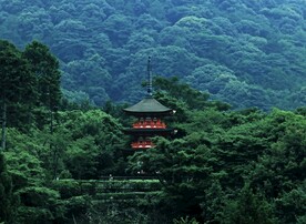 森林寺塔风景