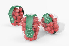 水果店vi车厘子样机贴图