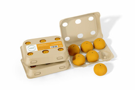 水果店vi橙子包装样机贴图