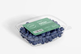 水果店vi蓝莓包装样机贴图