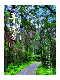 树林海报