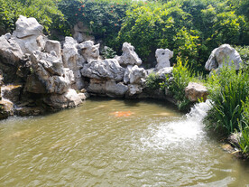 小鱼池
