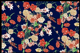 分色花