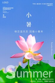 小暑荷花美景