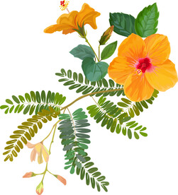 手绘花卉