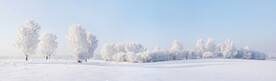 冬天雪景图片