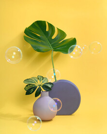 黄色背景植物创意花瓶