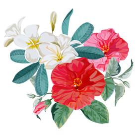 手绘花卉