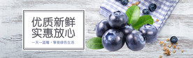 蓝莓海报