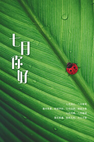 你好七月