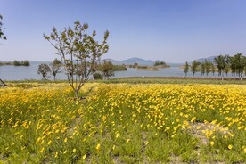 东平湖环湖路
