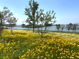 东平湖环湖路