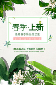春季上新