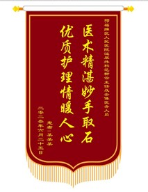 医术精湛流动红色锦旗