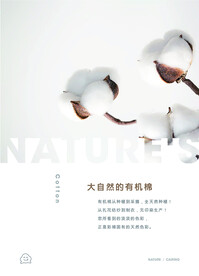 棉花