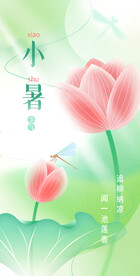 小清新荷花小暑节气海报