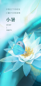 小清新小暑节气海报
