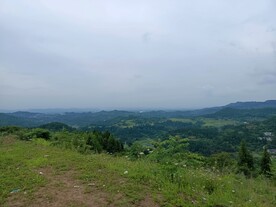 风景