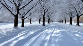 冰天雪树