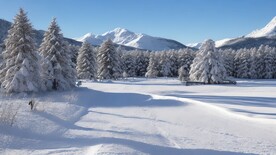 冰天雪树