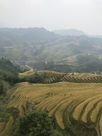 龙脊梯田