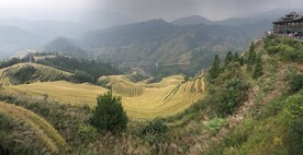 龙脊梯田